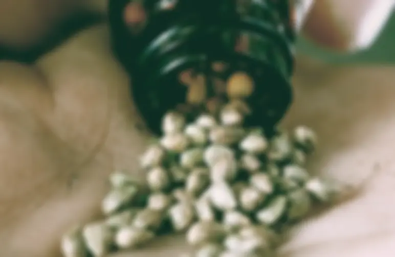 How Many Weed Seeds do You Need to Grow a Plant?