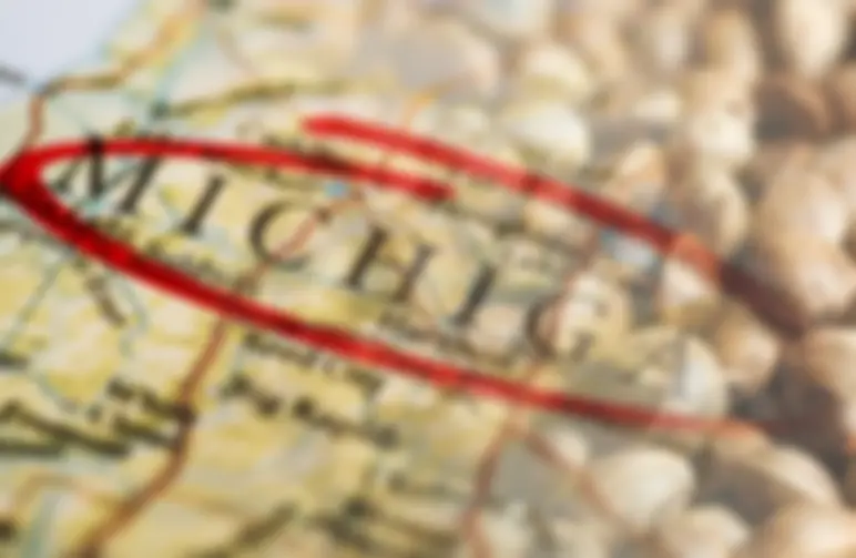 10 Best Strains to Grow Outdoors in Michigan (2026): The Expert Guide to Beating Frost & Mold