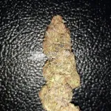 thumb of Ghost Train Haze by WeedSeedsExpress grown by Rock_n_Roll_Randy