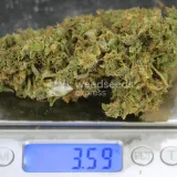 thumb of Gorilla Glue Auto by WeedSeedsExpress grown by Dunk_Junk