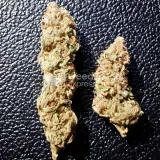 thumb of Ice Cream Cake Feminized by WeedSeedsExpress grown by Rock_n_Roll_Randy