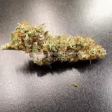 thumb of Lemon Auto by WeedSeedsExpress grown by Rock_n_Roll_Randy