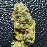 thumb of Lithium OG Kush by WeedSeedsExpress grown by Rock_n_Roll_Randy