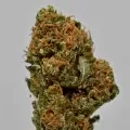 thumb of AK-47 by WeedSeedsExpress grown by Silky_smooth