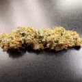 thumb of Amnesia Kush Auto by WeedSeedsExpress grown by Rock_n_Roll_Randy