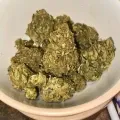 thumb of Black Domina Feminized by WeedSeedsExpress grown by spyder