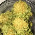 thumb of Chiquita Banana by WeedSeedsExpress grown by RebelMove