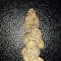 thumb of Ghost Train Haze by WeedSeedsExpress grown by Rock_n_Roll_Randy