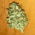 thumb of Godfather OG by WeedSeedsExpress grown by RebelMove