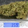 thumb of Gorilla Glue Auto by WeedSeedsExpress grown by Dunk_Junk