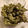 thumb of LSD Feminized by WeedSeedsExpress grown by Happy91