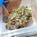 thumb of Lemon Auto by WeedSeedsExpress grown by PEAKYPLANTERS