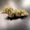 thumb of Lemon Auto by WeedSeedsExpress grown by Rock_n_Roll_Randy