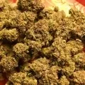 thumb of Sirius Black by WeedSeedsExpress grown by RebelMove