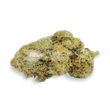 thumb of Acapulco Gold bud