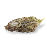 thumb of Blackberry Kush bud