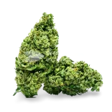 thumb of Cannatonic Bud