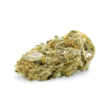 thumb of Cheese bud