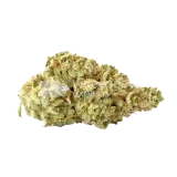 thumb of Colombian Gold Bud