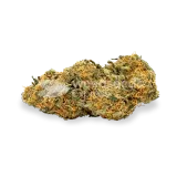 thumb of Critical 47 bud