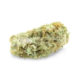 thumb of Critical bud