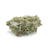 thumb of Critical White bud