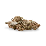 thumb of G13 bud