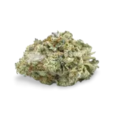 thumb of Hindu Kush bud