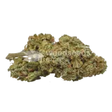 thumb of Jet Fuel Feminized Bud