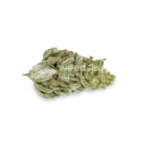 thumb of Original Glue bud