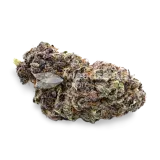 thumb of Purple Punch bud