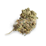 thumb of Swiss Cheese bud