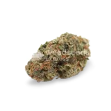 thumb of White Widow bud