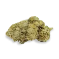 thumb of Acapulco Gold bud