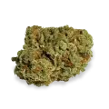 thumb of Afghani bud