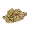 thumb of Agent Orange Bud