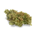 thumb of AK-47 bud