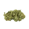 thumb of Alaskan Thunder Fuck Bud