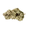 thumb of Alien OG Bud