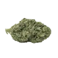thumb of American Patriot Bud
