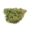 thumb of Amnesia Bud