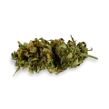 thumb of Amnesia Lemon Kush bud