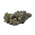 thumb of Animal Face Bud