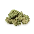 thumb of Apple Fritter bud
