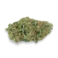 thumb of Big Bud bud