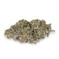 thumb of Biscotti Bud