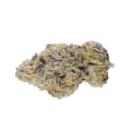 thumb of Black Cherry Soda Bud