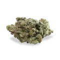 thumb of Black Jack bud