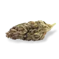 thumb of Blackberry Kush bud