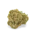 thumb of Blue Cheese bud